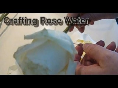 How Do You Craft Rose Water?