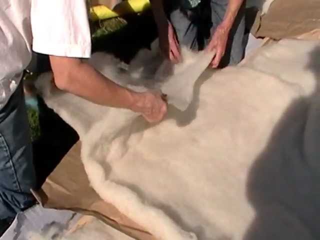 Nancy Today: How to make a wool blanket from scratch 1 piecing ASMR Sheep