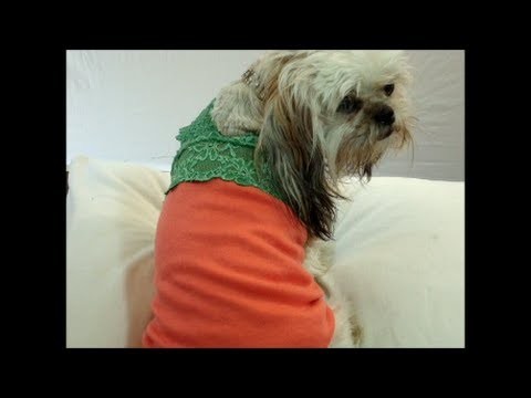 ✂ Dog Summer Clothes: Pattern Free Thunder Shirt For Dogs ♡