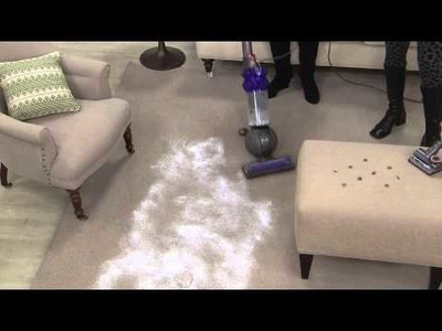 Dyson DC50 Animal Compact Upright Vacuum Cleaner with 6 Attachments with Albany Irvin