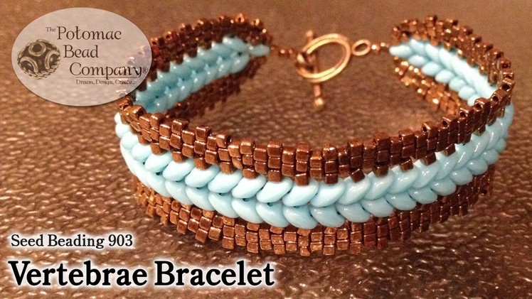 Make a "Vertebrae Bracelet"