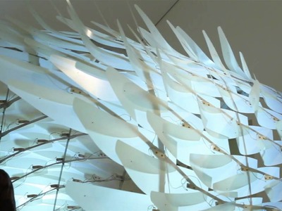 Reef Installation - Taubman Museum of Art and Storefront for Art and Architecture, NY
