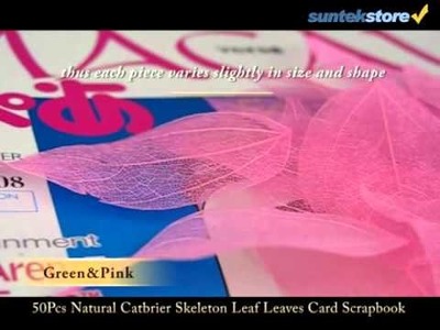SuntekStore: 50Pcs Natural Catbrier Skeleton Leaf Leaves Card Scrapbook