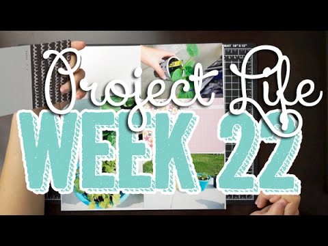 478: Week 22 Project Life 2014 Scrapbook Process - Using Studio Calico, Freckled Fawn, & Kiwi