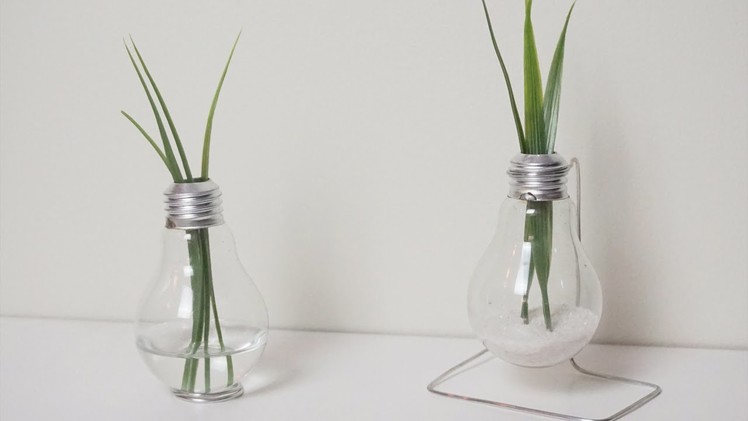 DIY: Lightbulb Vase