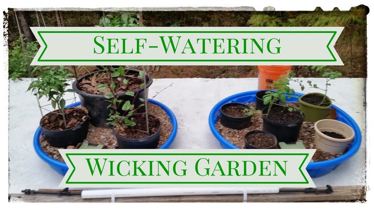 DIY Self Watering Wicking Garden