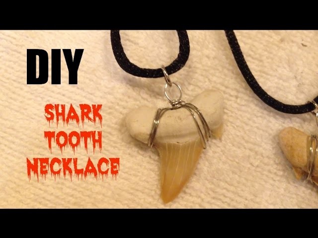 DIY: Shark Tooth Necklace