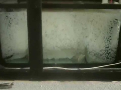 HOW TO: DIY moving bed aquarium filter