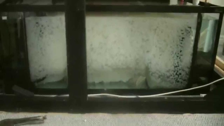 HOW TO: DIY moving bed aquarium filter