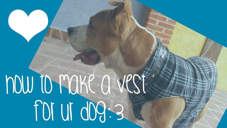 ♥How to make a sweater.  vest for ur dog♥