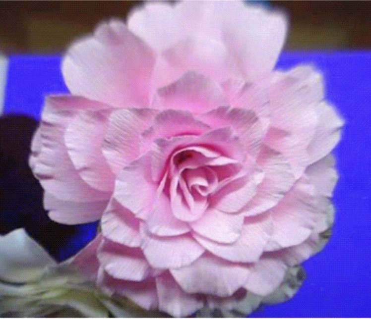 Paper Flower - Camellia