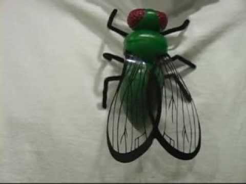 DIY - Giant Moving FLY on T Shirt