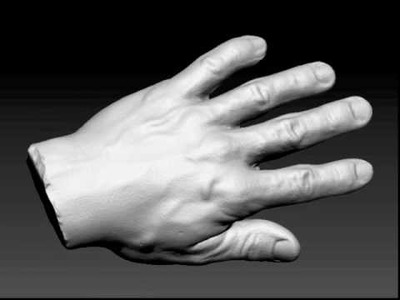 3D Laser Scan of Human Hand Casting