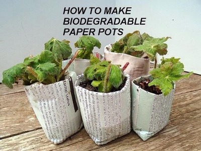 DIY-BEST Biodegradable newspaper pots, plant seeds or cuttings, MONEY MAKING IDEA
