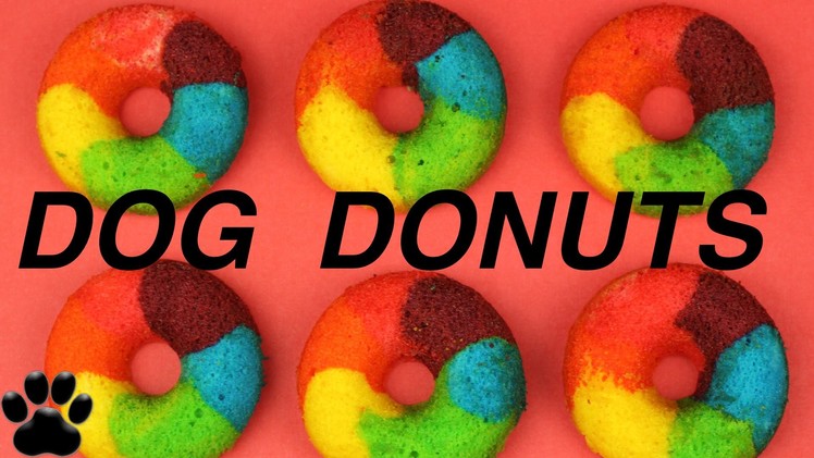 GORGEOUS RAINBOW DOGGIE DONUTS - DIY Dog Food by Cooking For Dogs