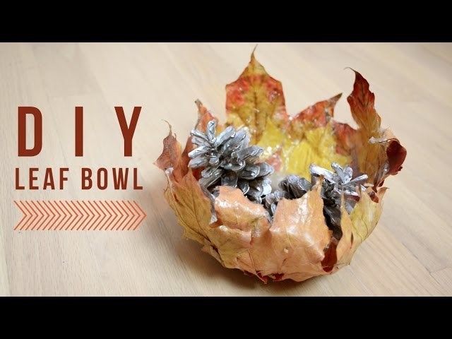 DIY Room Decor : Leaf Bowl