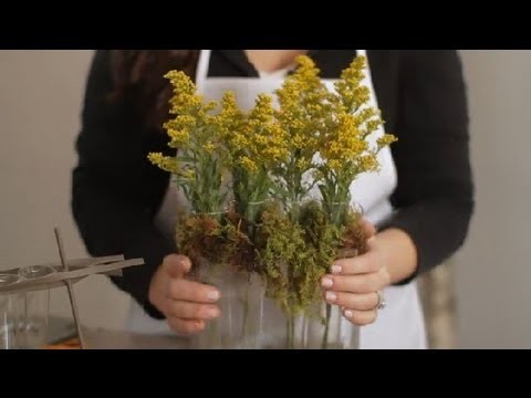 DIY Test Tube Vases : Flowers & Centerpieces