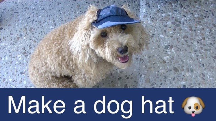 Make Dog Visor Hat-Cap-DIY Dog Food.Groom.Clothes - a tutorial by Cooking For Dogs