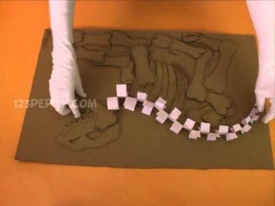 How to make a Dinosaur Fossile