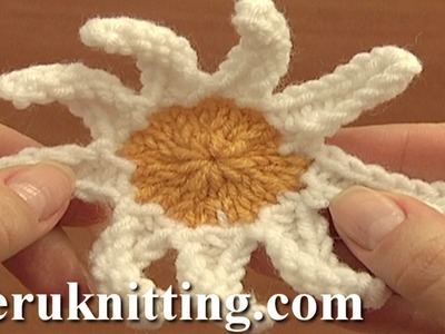 Knitted Daisy Flower Pattern Tutorial 15 Knitting Flower Library