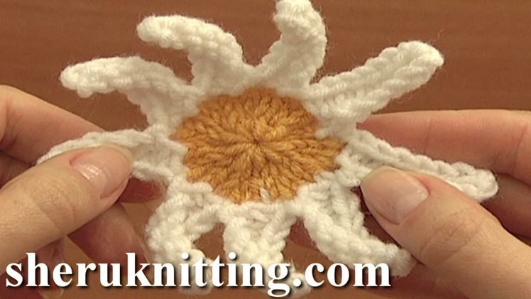 Knitted Daisy Flower Pattern Tutorial 15 Knitting Flower Library