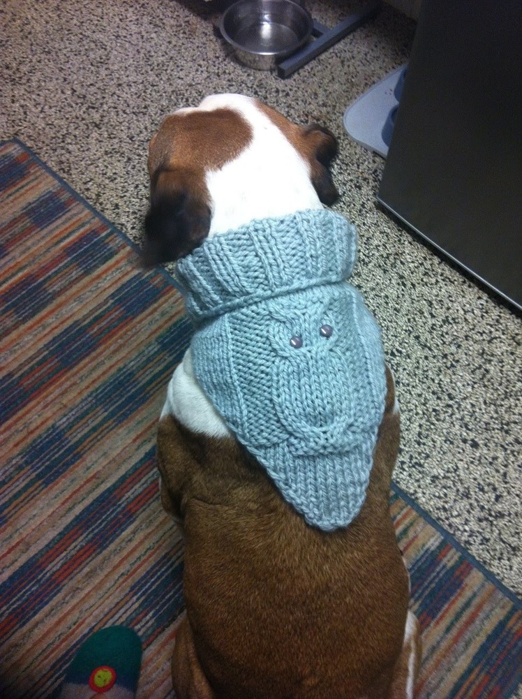 Hundehalstuch Stricken m.Eulenmuster*Hunde Schal*Hund*Teil 2*knit scarf*neckerchief for Dog*Tutorial