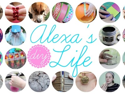 I'm Defying Gravity | Alexa's DIY Life