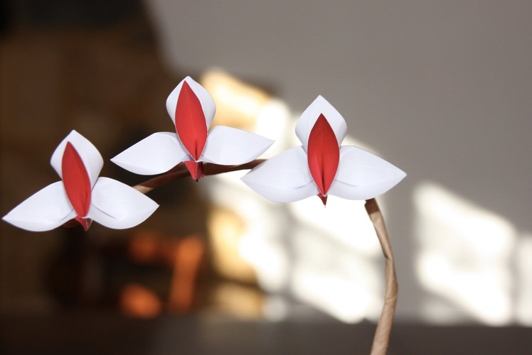 Origami tutorial - Orchid