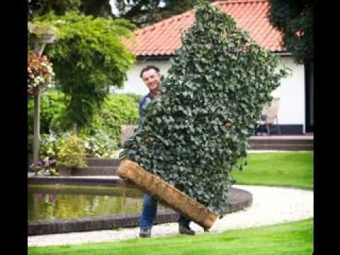 DIY projects ideas for gardening