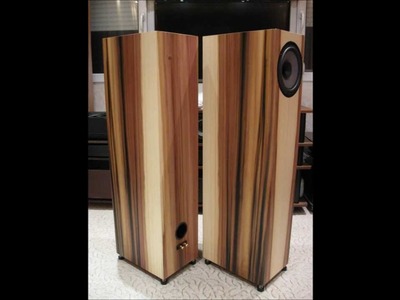 Diy speaker projects build for customers