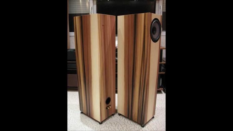 Diy speaker projects build for customers
