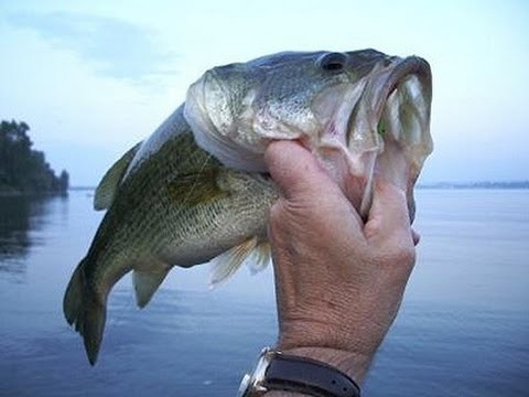Bass Fishing Trick - Texas Rig and Glass Bead