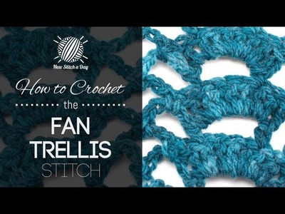 How to Crochet the Fan Trellis Stitch