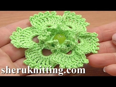 Picot Popcorn Stitch Flower Crochet Tutorial 70 Flower Patterns