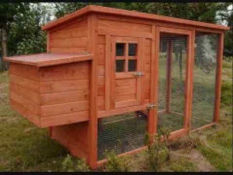 DIY Chicken Coop Plans for Building a Chicken Coop