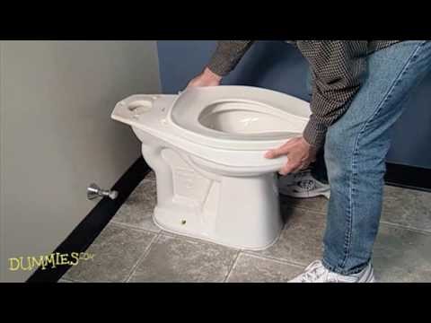 How to Fix a Leaky Toilet For Dummies