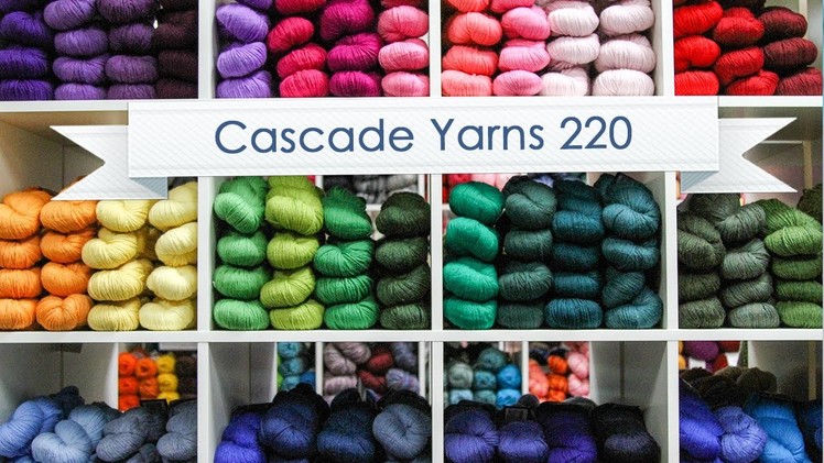 Cascade Yarns 220 - Review