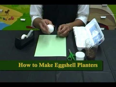 Crafty Creations #28: Earth Day Crafts - CD.DVD Frogs & Eggshell Planters
