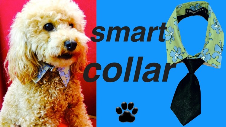 DOG COLLAR UPCYCLE SHIRT FORMAL NO-SEW NECKTIE  -  DIY Dog Food.Craft by Cooking For Dogs