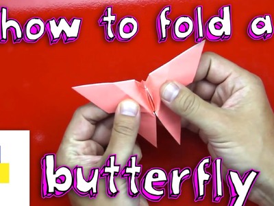 How To Fold A Butterfly