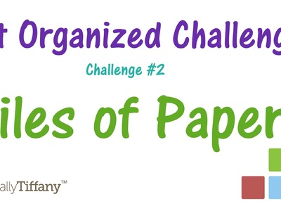 Get Organized Challenge 2 - Piles of Paper