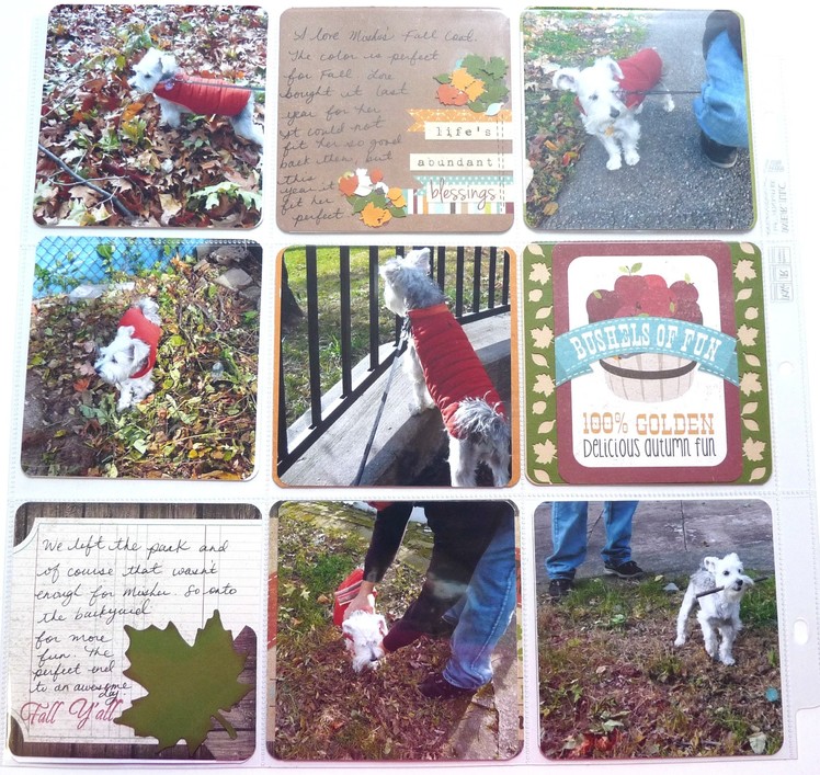 Scrapbook Project : Document Life Process: A Day of Fall Memories