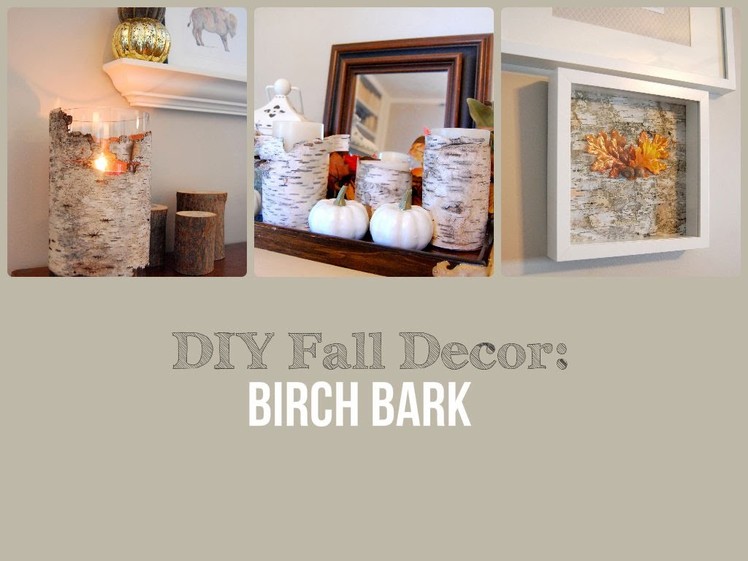 DIY Fall Decor: Birch Bark