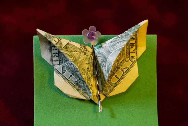 Dollar Origami: Elegant Butterfly