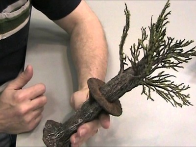 Challenge Your PCs with a TREE SNIPER PERCH for Your D&D Encounter (DM's Craft, Short tip, Ep 30)