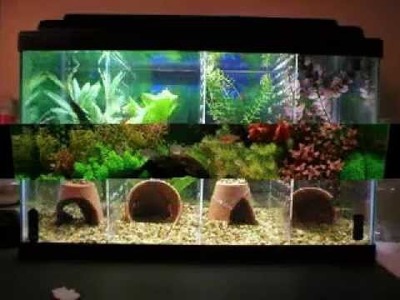 Good diy aquarium decorations ideas