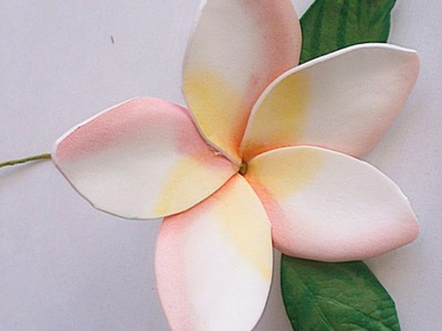 Make a Foam Paper Gentle Plumeria Flower - DIY Crafts - Guidecentral