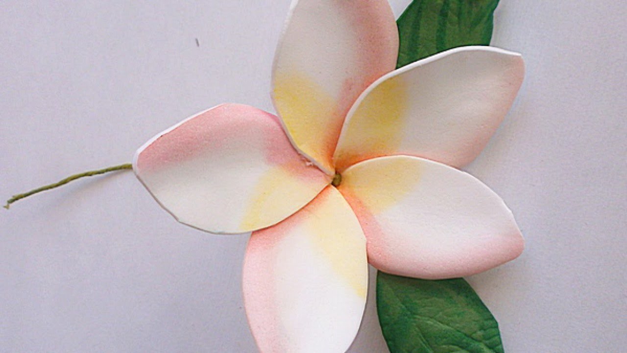 Make a Foam Paper Gentle Plumeria Flower DIY Crafts Guidecentral