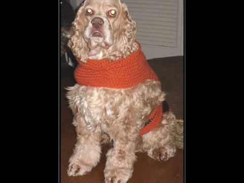 Crochet: Dog and Baby Sweaters