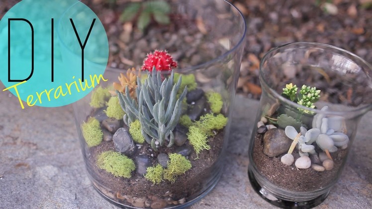 DIY Indoor Garden - Cactus Terrarium {How to} by ANNEORSHINE